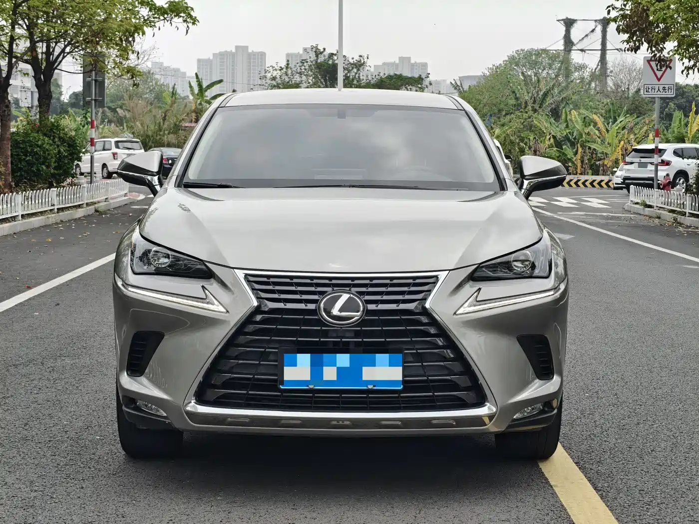 LEXUS NX