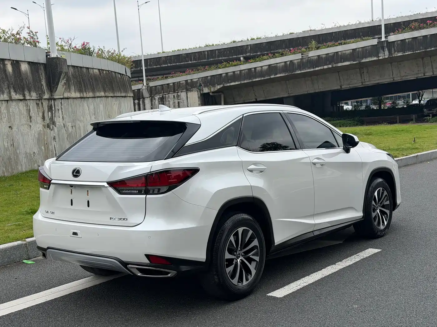 Фото 17 - Lexus RX