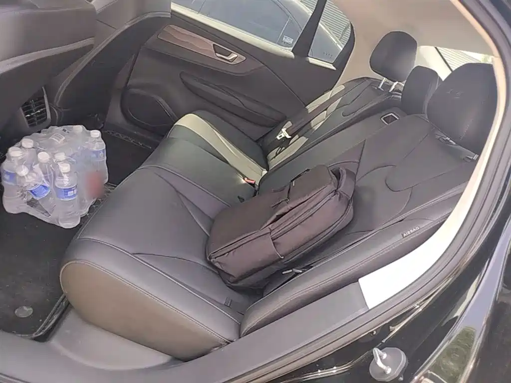 Hongqi E-QM5 2021 Charging T3 Version 5-seater фото 17