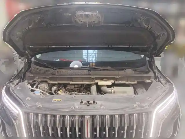 Hongqi HQ9 2023 2.0T Smart Connect Flagship — фото 3