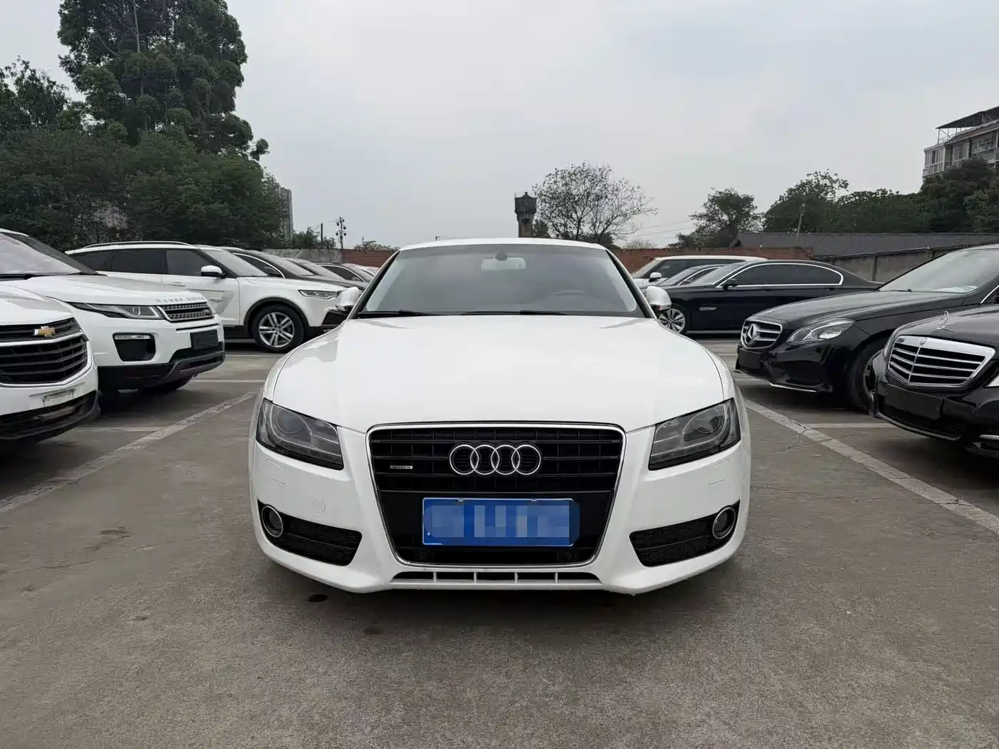Audi A5 (Import) 2010 3.2 coupe quattro фото 2