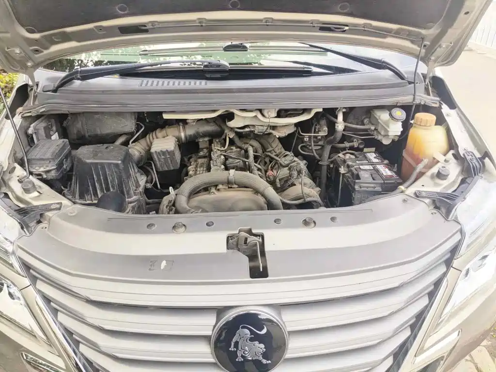 Фото 3 - Dongfeng Fengxing Lingzhi