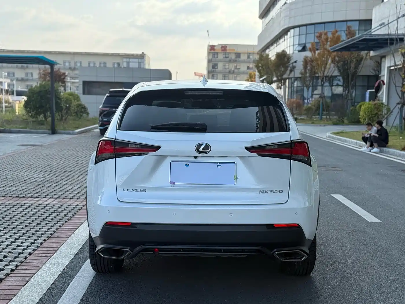 Lexus NX 2018 Model 300 FWD Fengxing Edition фото 8