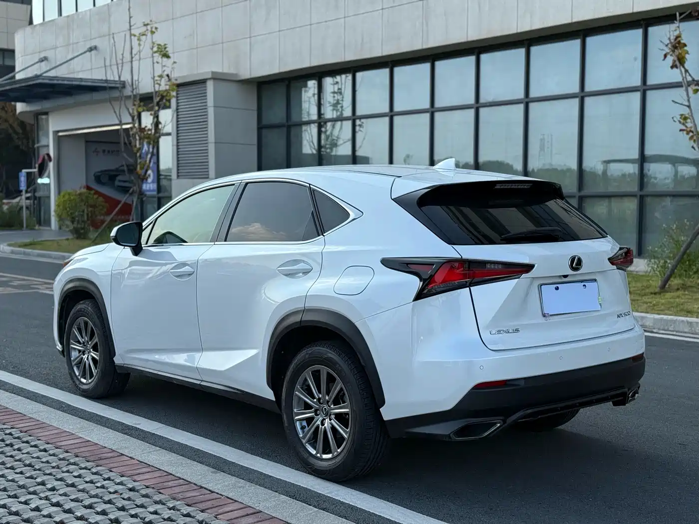 Lexus NX 2018 Model 300 FWD Fengxing Edition фото 9