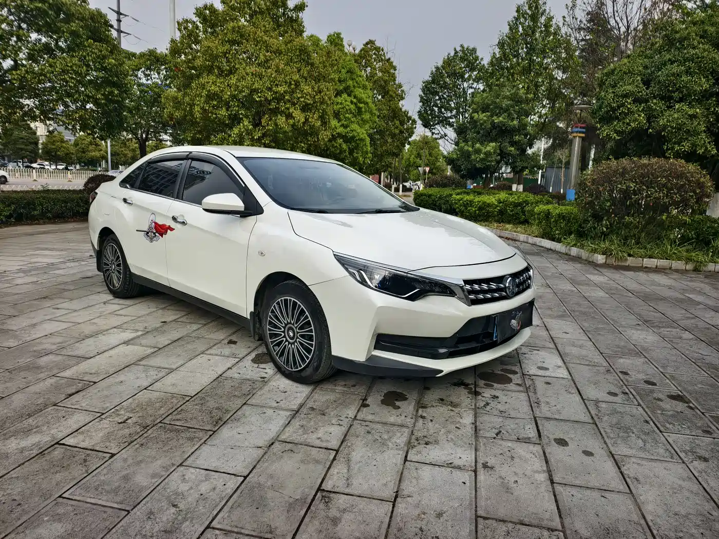 QICHEN D60