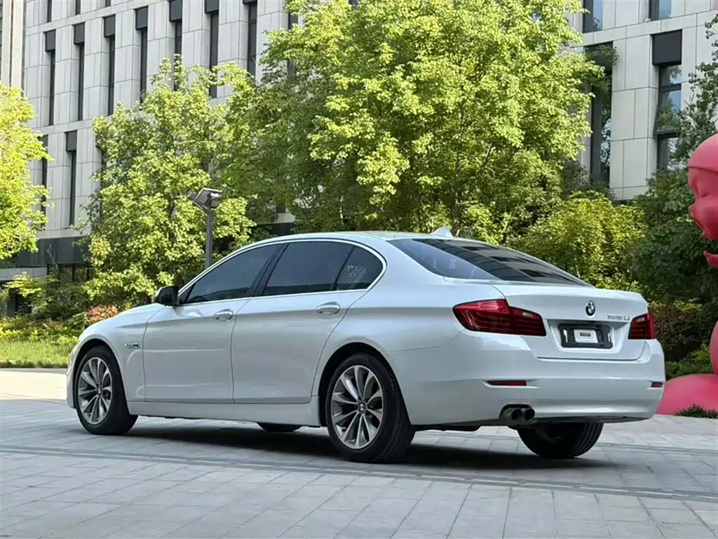 BMW 5 Series 2017 525Li Leading Edition фото 10