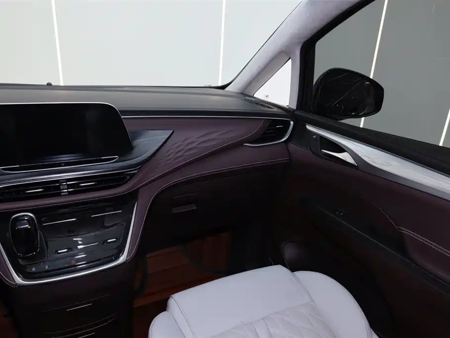 Buick GL8 2022 Avenir Avia 6-Seater Virtue Edition фото 27
