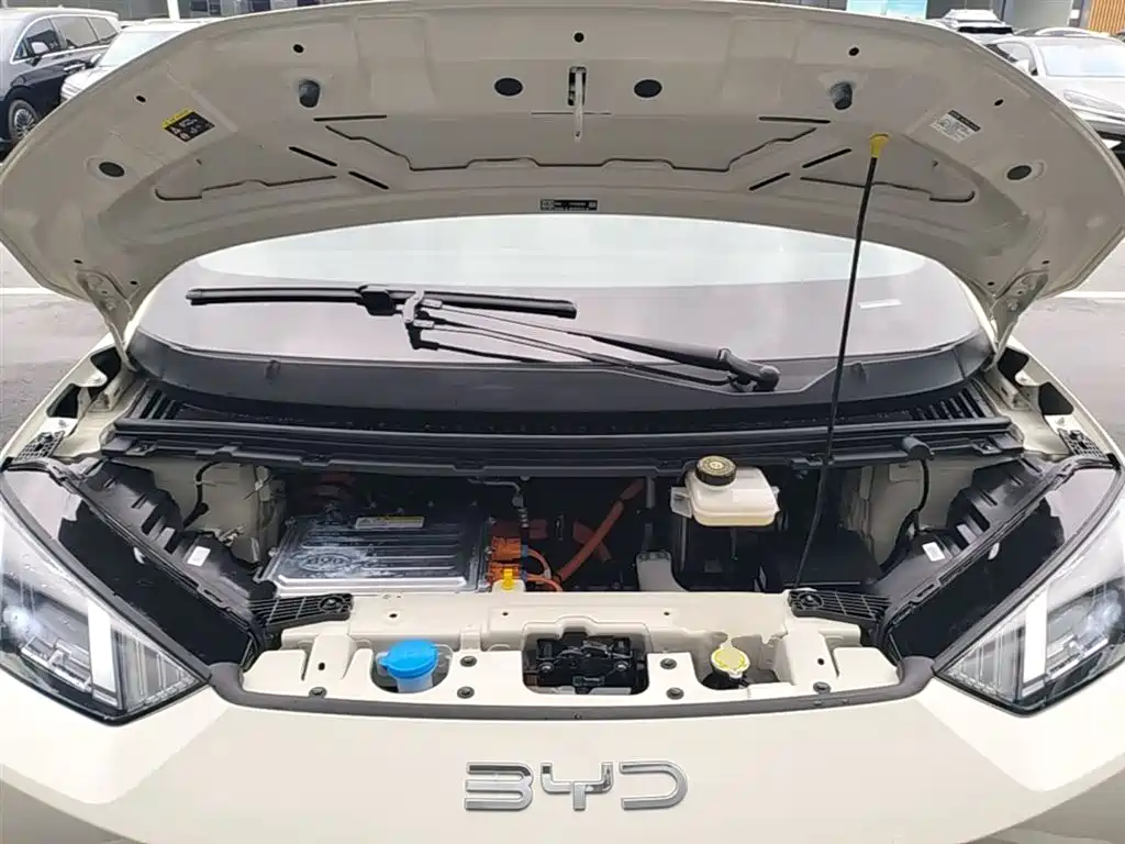 BYD Seagull 2025 Smart Drive Edition 305km Freedom Version фото 20