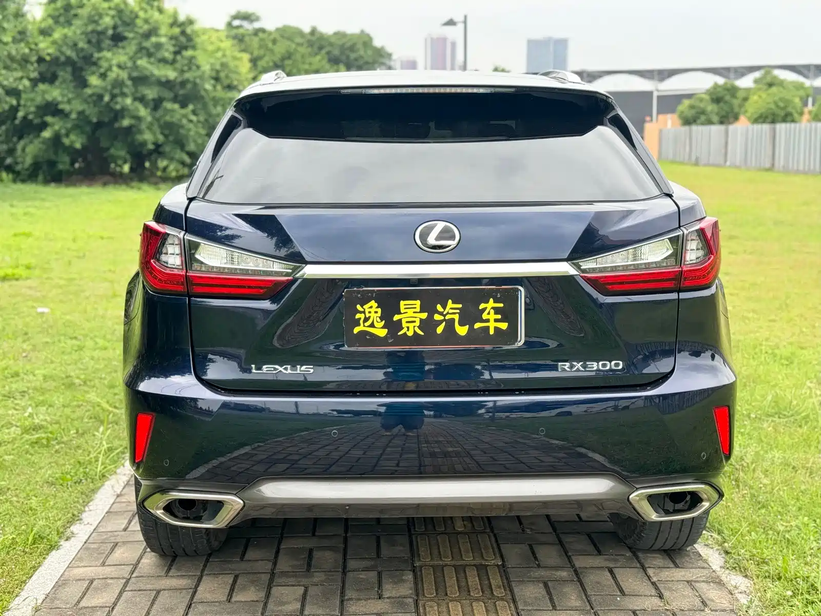 صورة 4 - Lexus RX