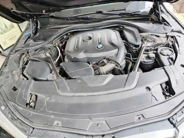 BMW 7 Series 2018 730Li Premium Type Excellence Package — фото 3