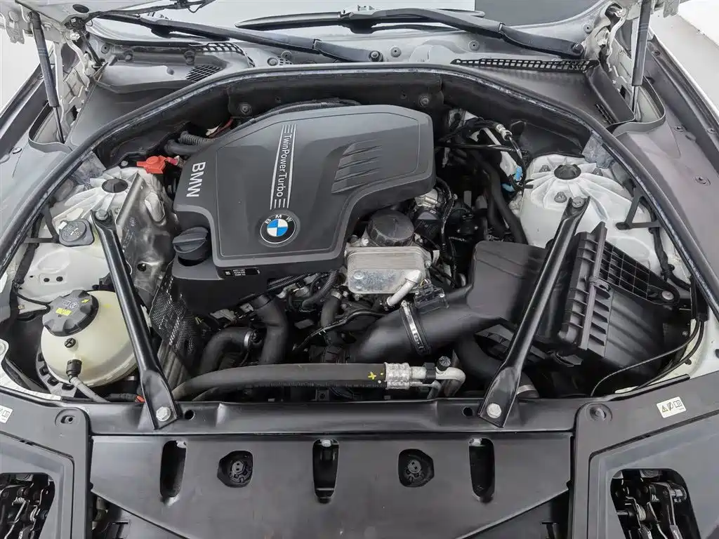 BMW 5 Series (Import) 2015 520i Elegance фото 6