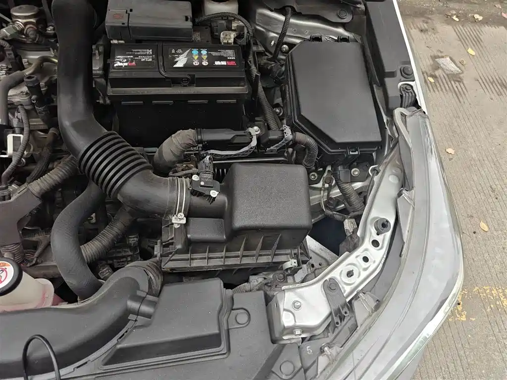 Toyota Levin 2019 185T CVT Luxury Edition China VI фото 20