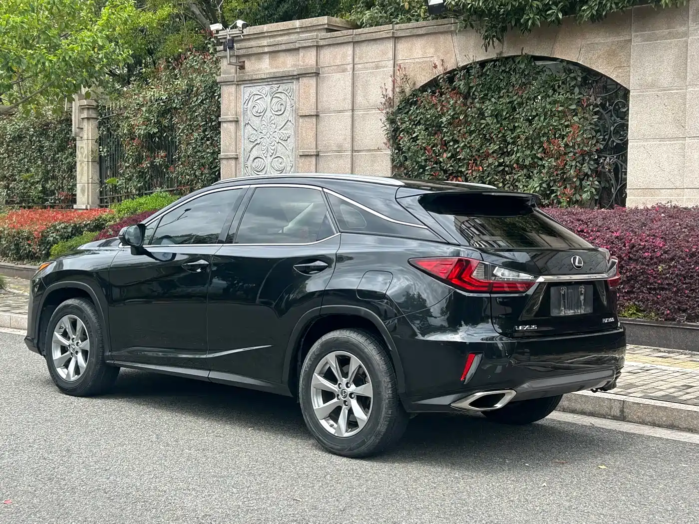 LEXUS RX