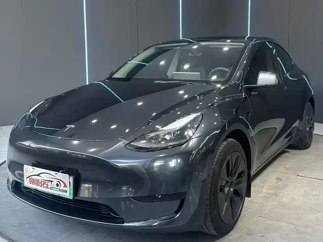 Tesla Model Y 2024 Rear-Wheel Drive Version — фото 1