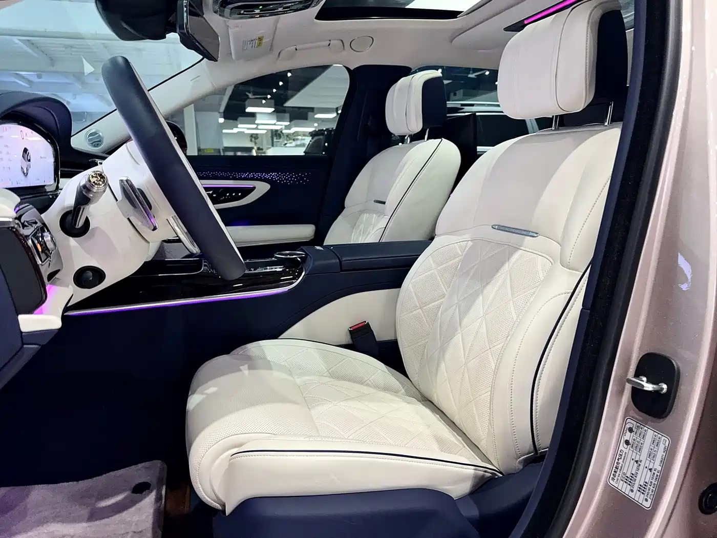 Hongqi Guoya 2024 4.0T V8 Version фото 19