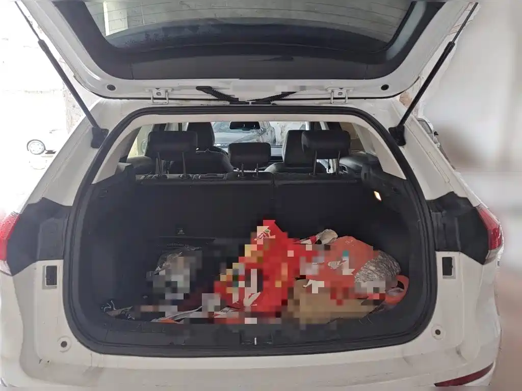 Haval H6 2020 1.5GDIT Automatic Platinum Champion Edition фото 16