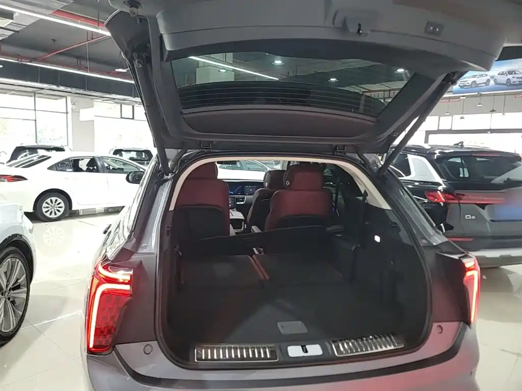 Hongqi E-HS9 2022 660km Qi Chang Edition (6-seater) фото 19