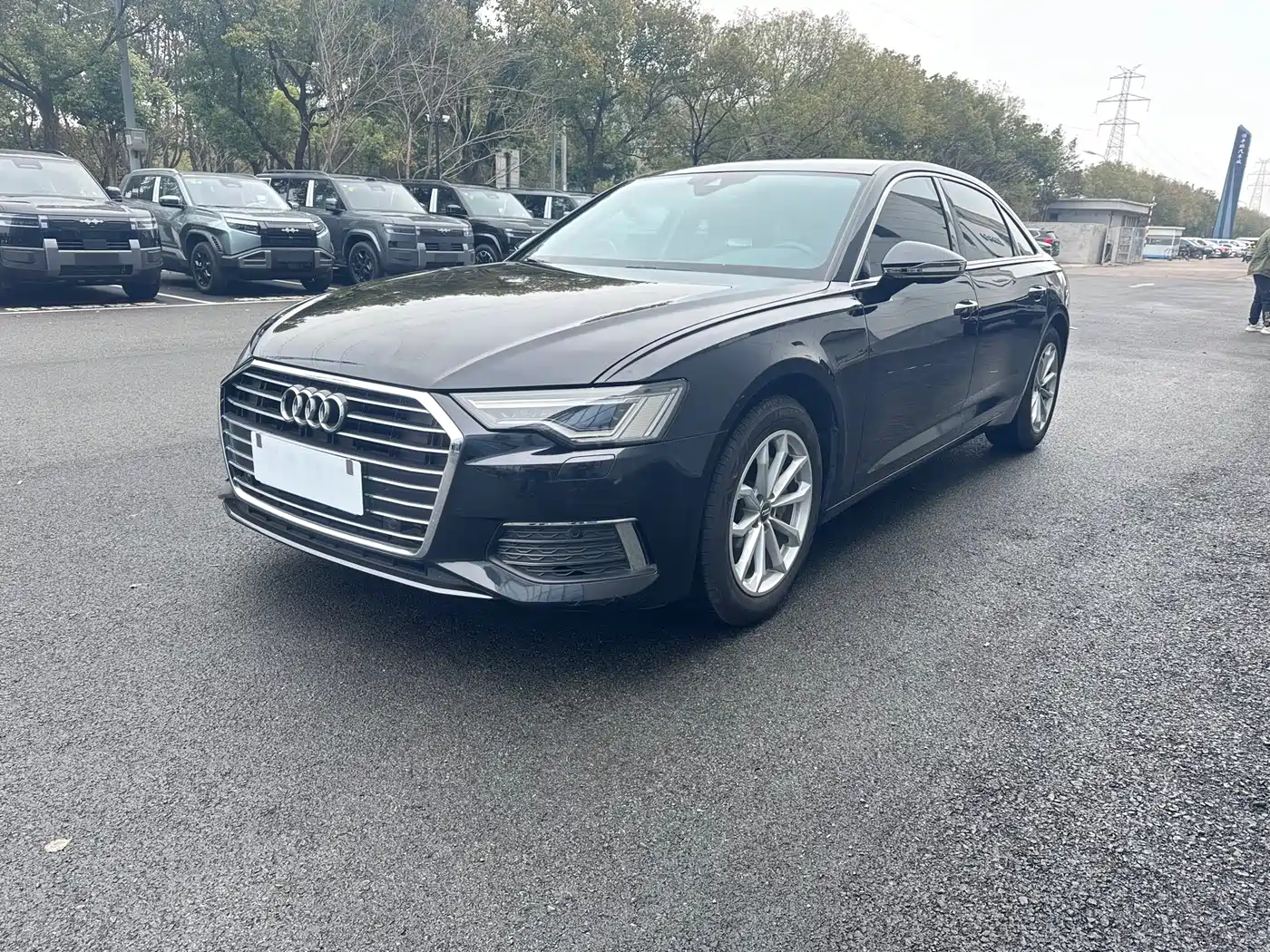 Audi A6L 2019 40 TFSI Luxury Dynamic