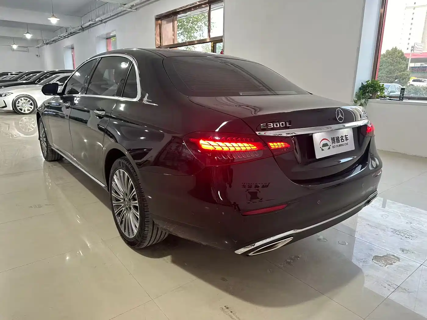 Mercedes-Benz E-Class 2023 E 300 L Luxury фото 5