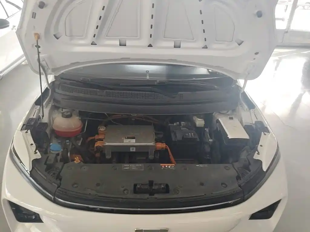 Geely Geometry E Firefly 2022 2022 401KM Delicate Tiger 4-seater