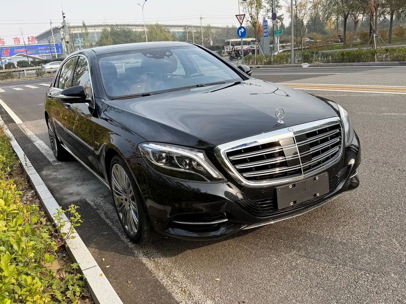 Mercedes-Benz S-Class 2014 S 600 L фото 3