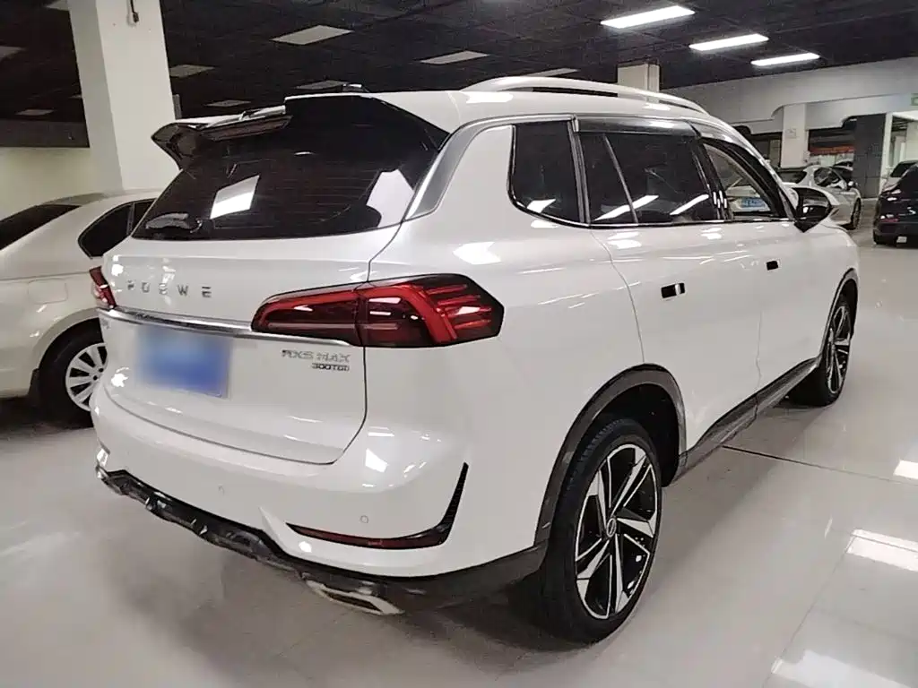 Roewe RX5 MAX 2022 2022 1.5T Auto Promising Premium Edition