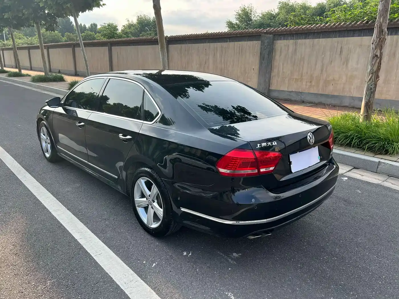 Volkswagen Passat 2011 1.8TSI DSG Honor Edition фото 11