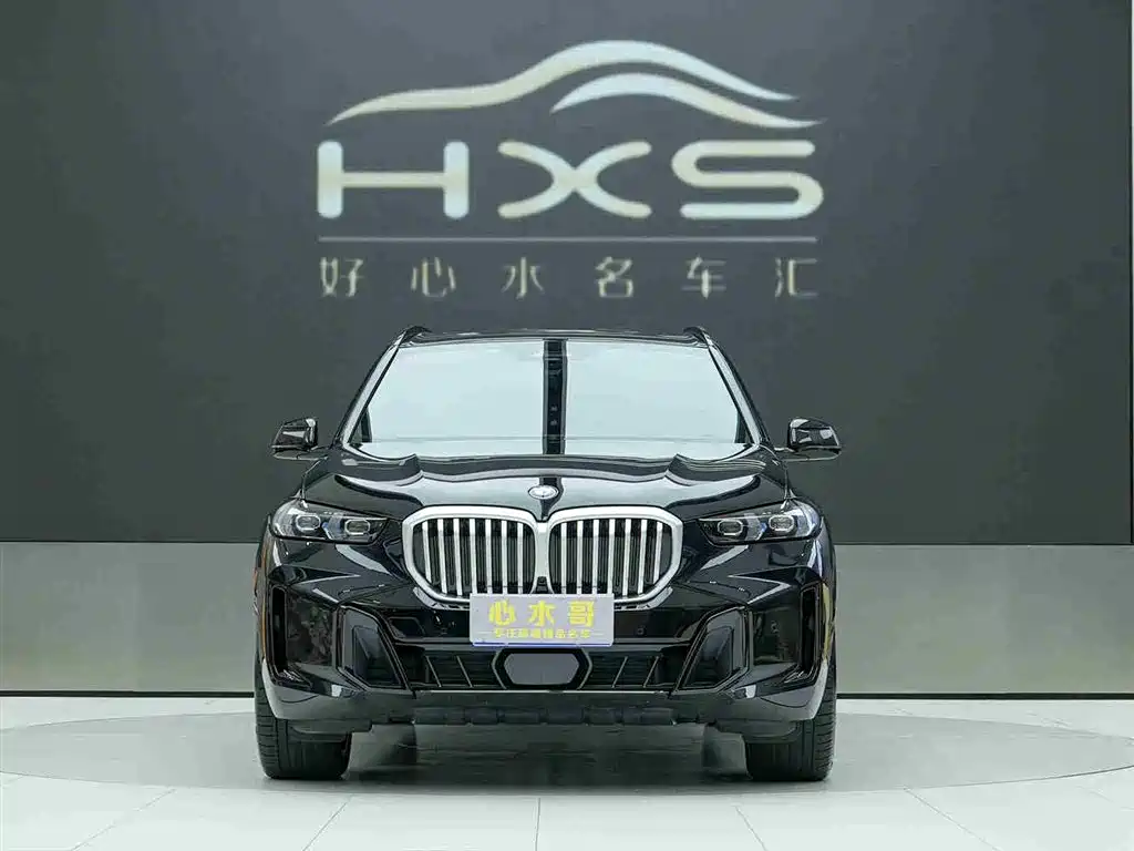 BMW X5 2023 xDrive 40Li M Sport Black Night Package фото 2