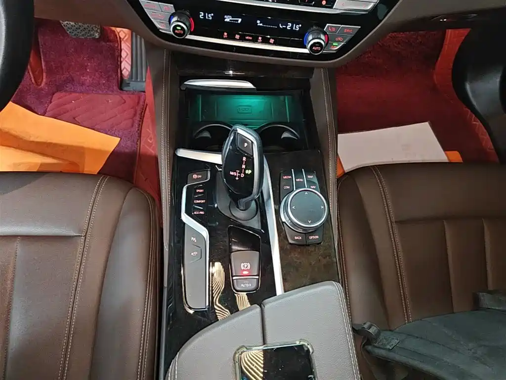 BMW 5 Series 2020 525Li Luxury Package фото 14