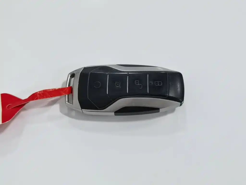 BYD Tang 2019 2018 2.0T Auto Smart Connect Luxury 5-seater China V