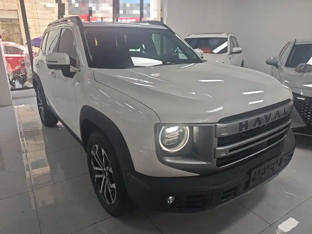 Haval Big Dog 2025 2024 1.5T DCT Border Collie Edition