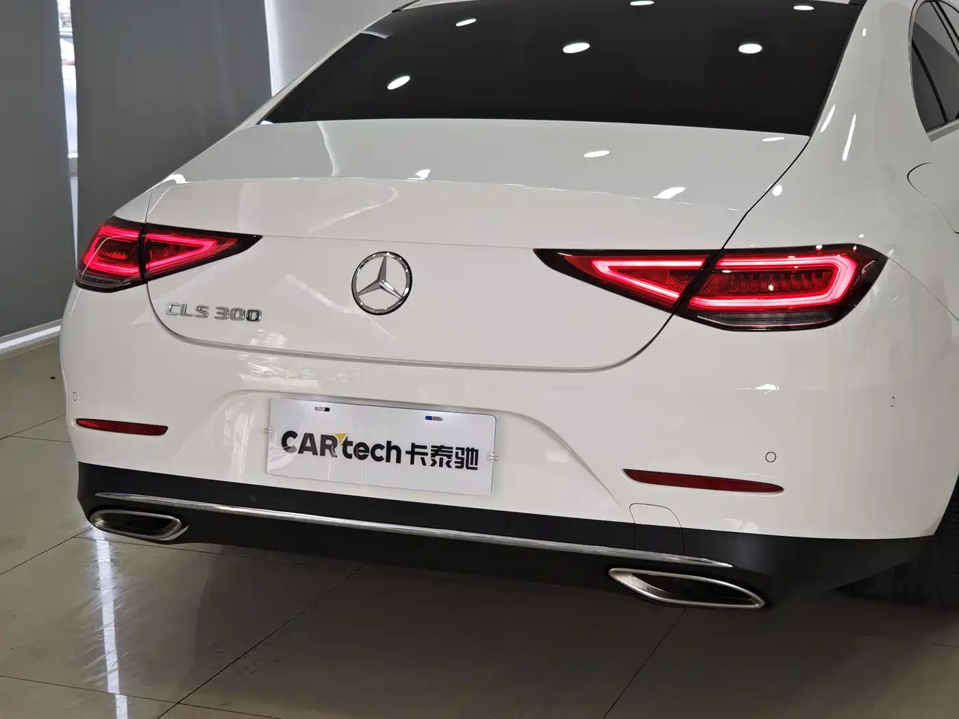 Mercedes-Benz CLS 2018 CLS 300 Dynamic фото 21