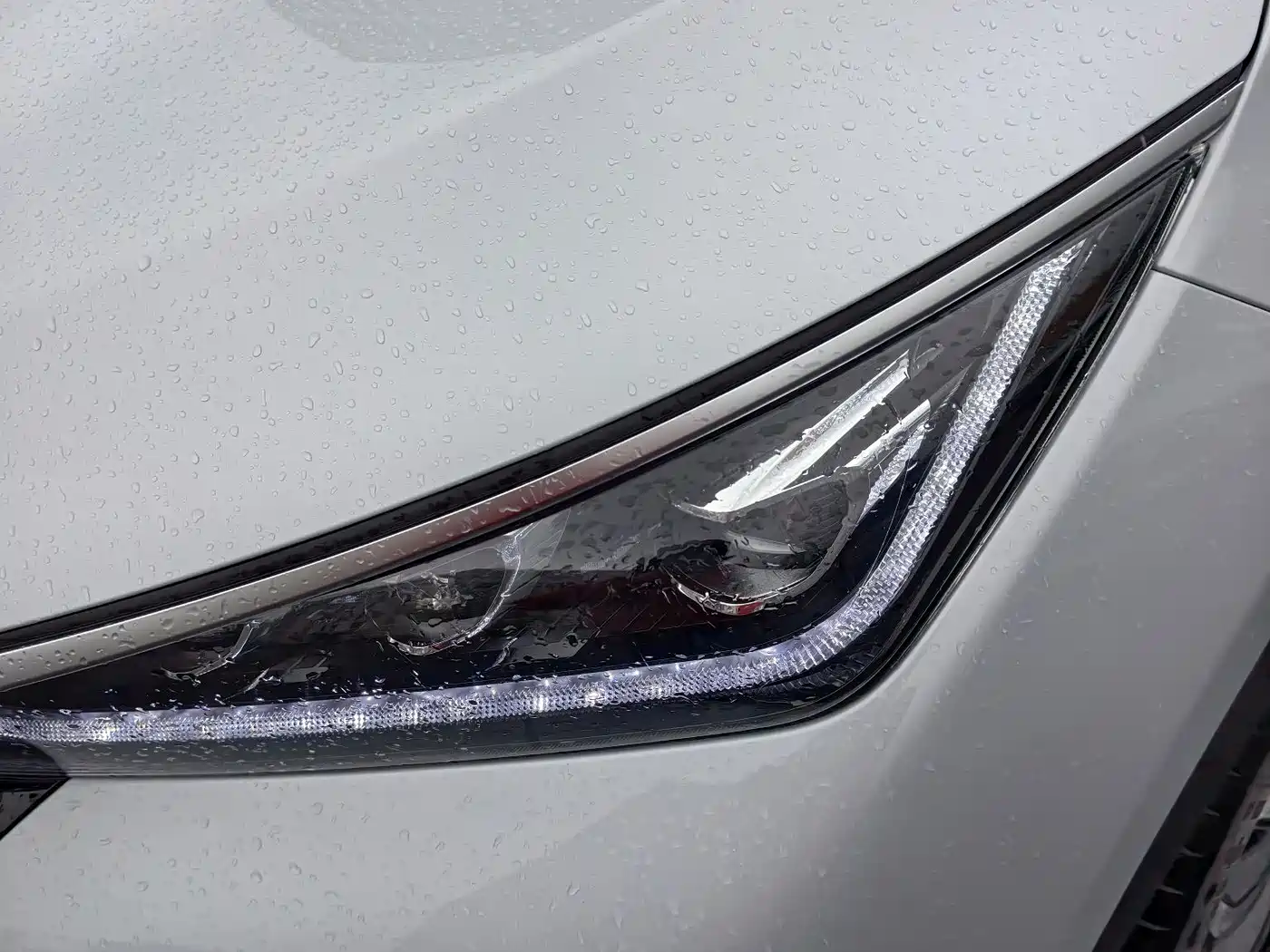 BYD Tang New Energy 2025 Smart Driving Edition DM-i 115KM Honor фото 17