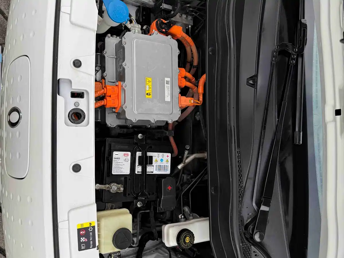 Ora Black Cat 2021 2021 301km Basic Model