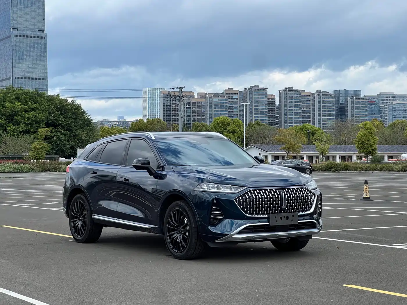 WEI PAI WEI BRAND MOCHA