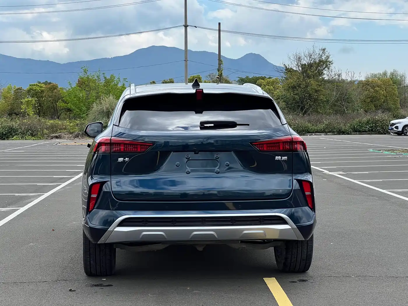 WEI PAI WEI BRAND MOCHA