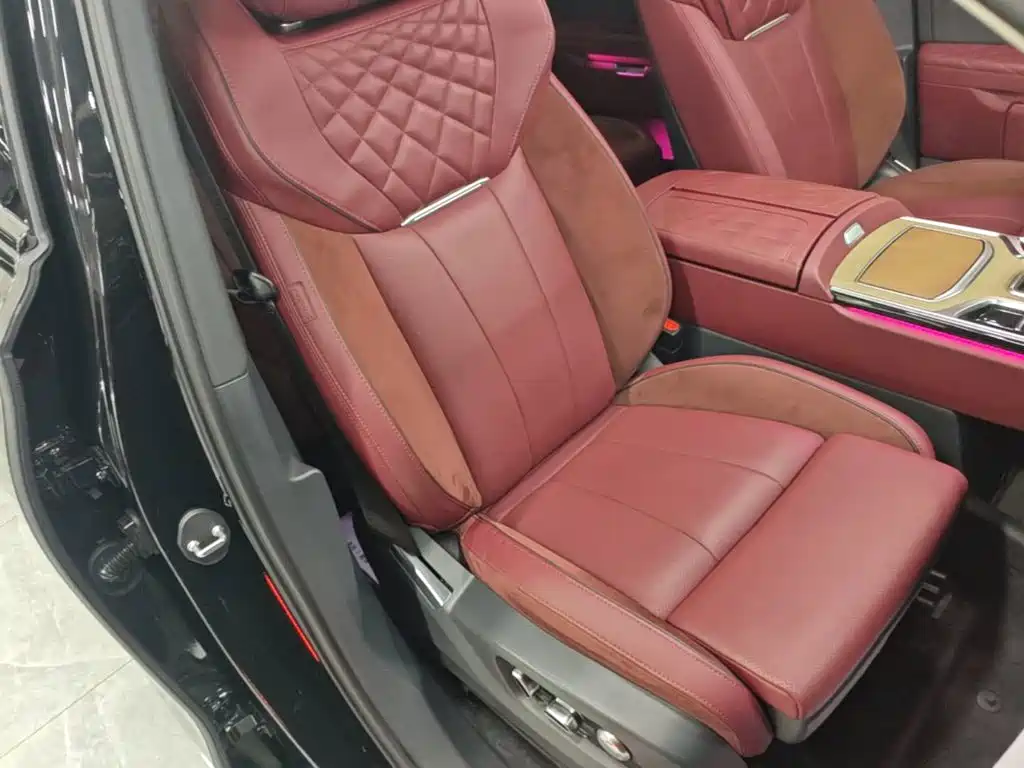 Photo 25 - Hongqi E-HS9