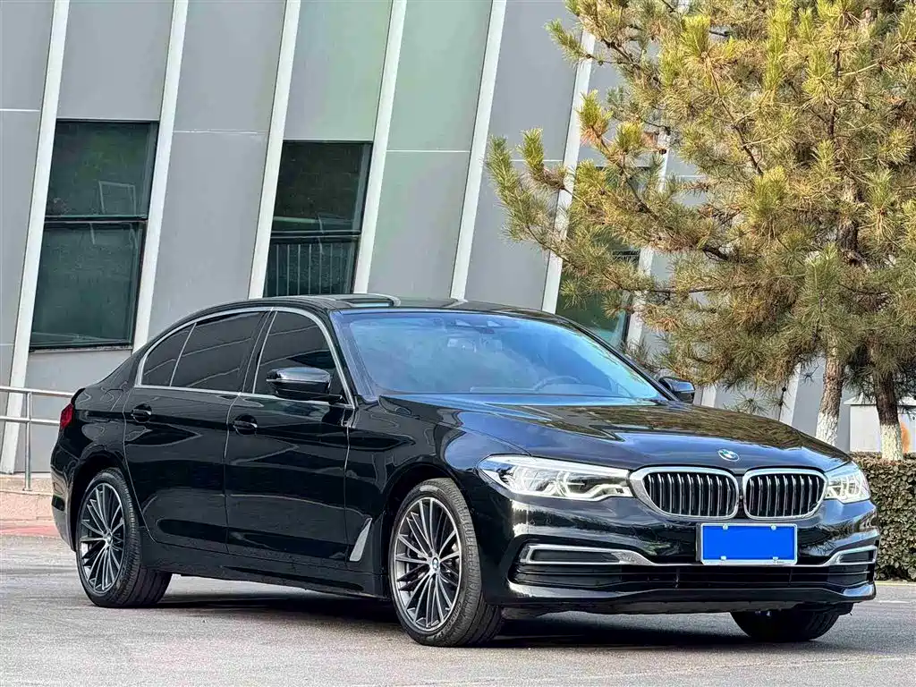BMW 5 Series 2020 Model 530Li Executive Luxury Package фото 3
