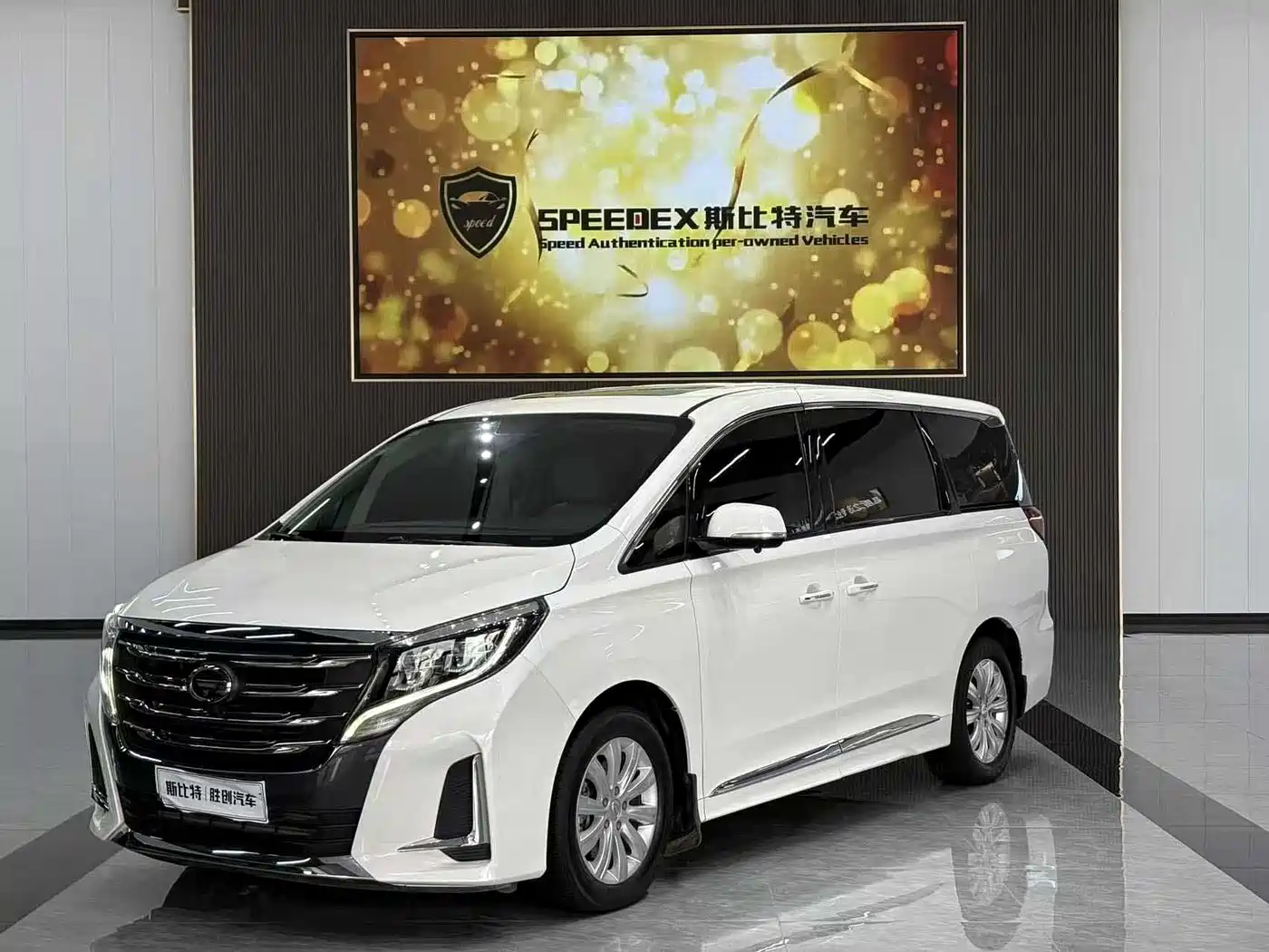 GAC Trumpchi Trumpchi M8 2020 Pilot 390T Luxury Edition