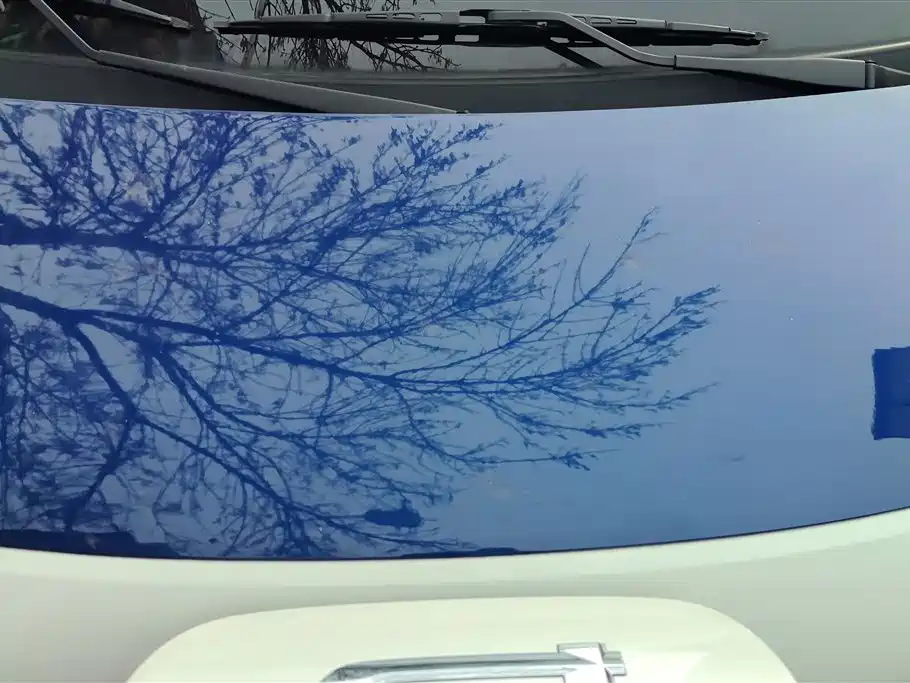 BESTUNE PENTIUM PONY