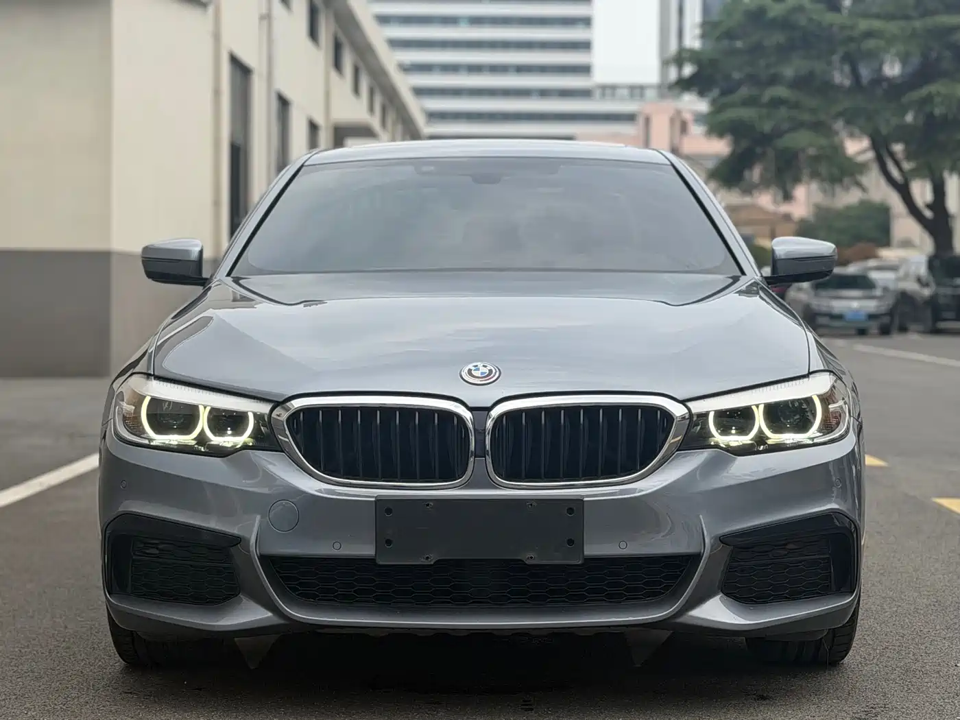 BMW 5 Series (Import) 2019 Facelift 525i M Sport Package фото 2