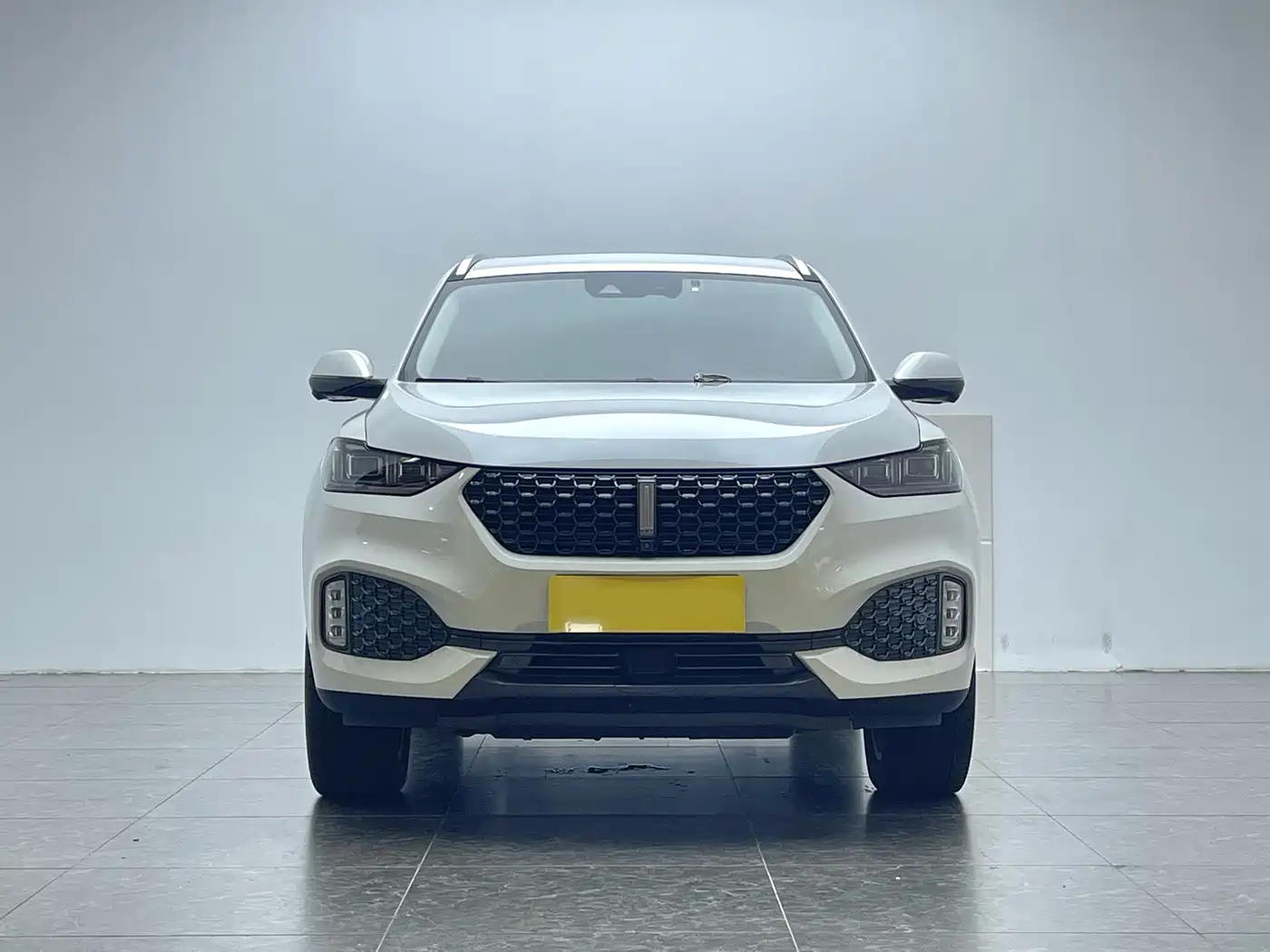 WEI PAI WEI BRAND VV6