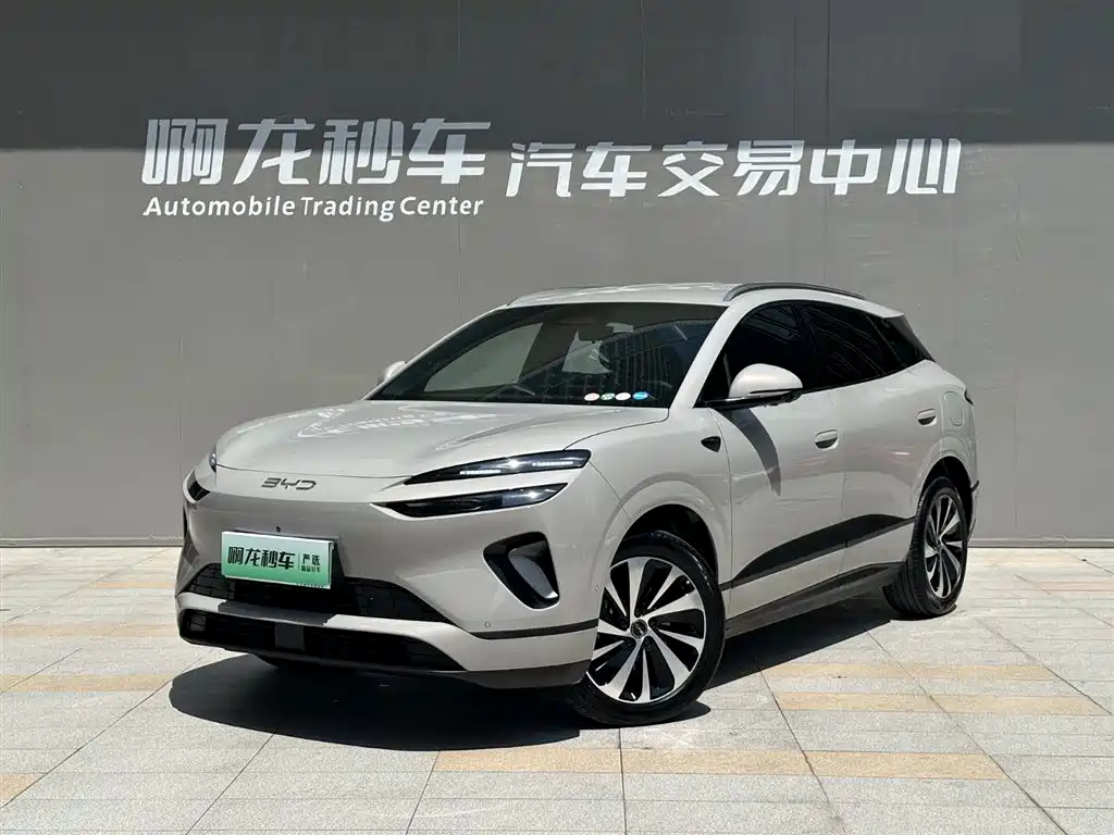 BYD SEA LION 06 NEW ENERGY