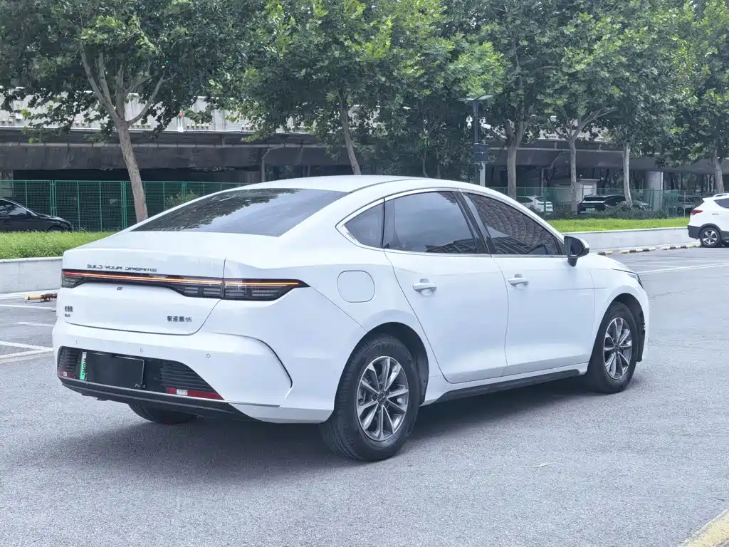 BYD Destroyer 05 2025 2024 Glory Edition DM-i 55KM Luxury
