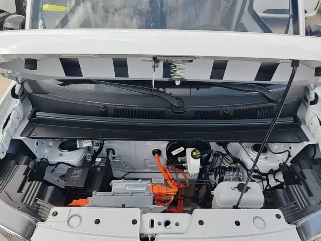 Wuling Motors Wuling Zhiguang NEV 2026 2025 Model 305km Base Version