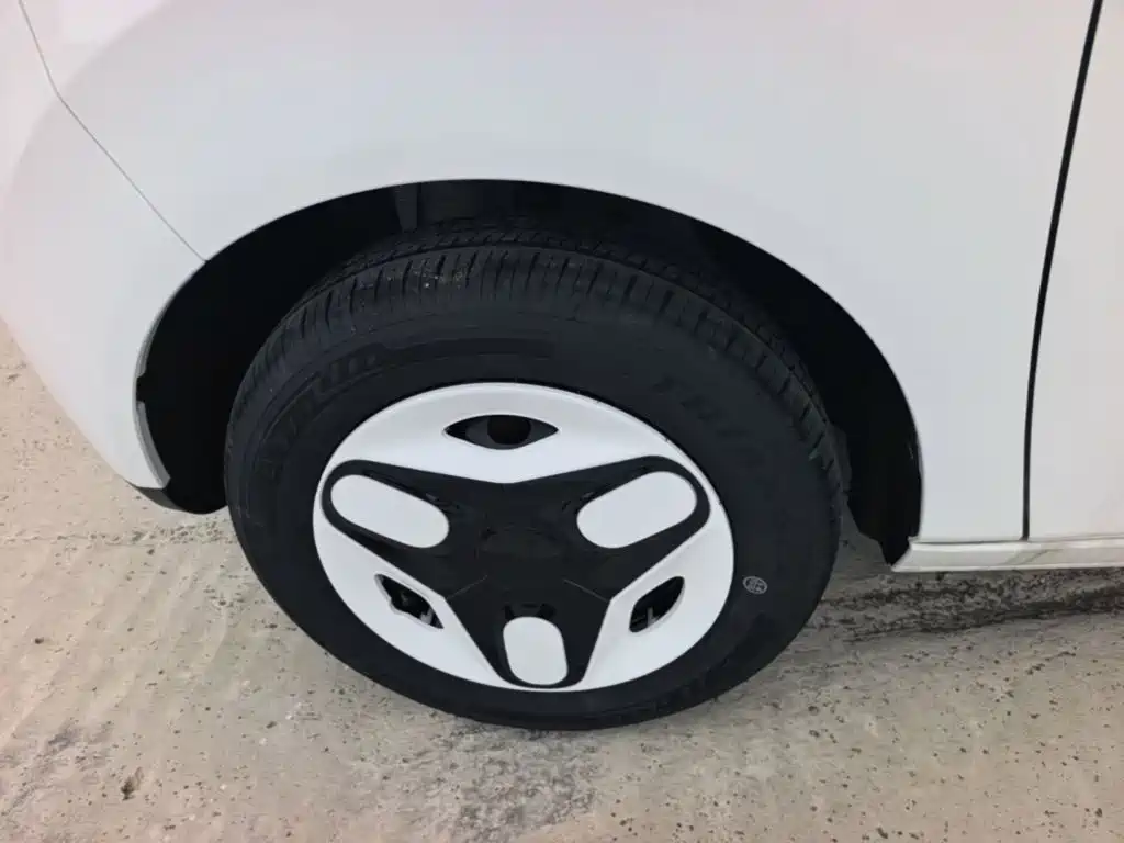 Geely Galaxy Panda 2026 2025 Panda mini 210km Vitality Bear
