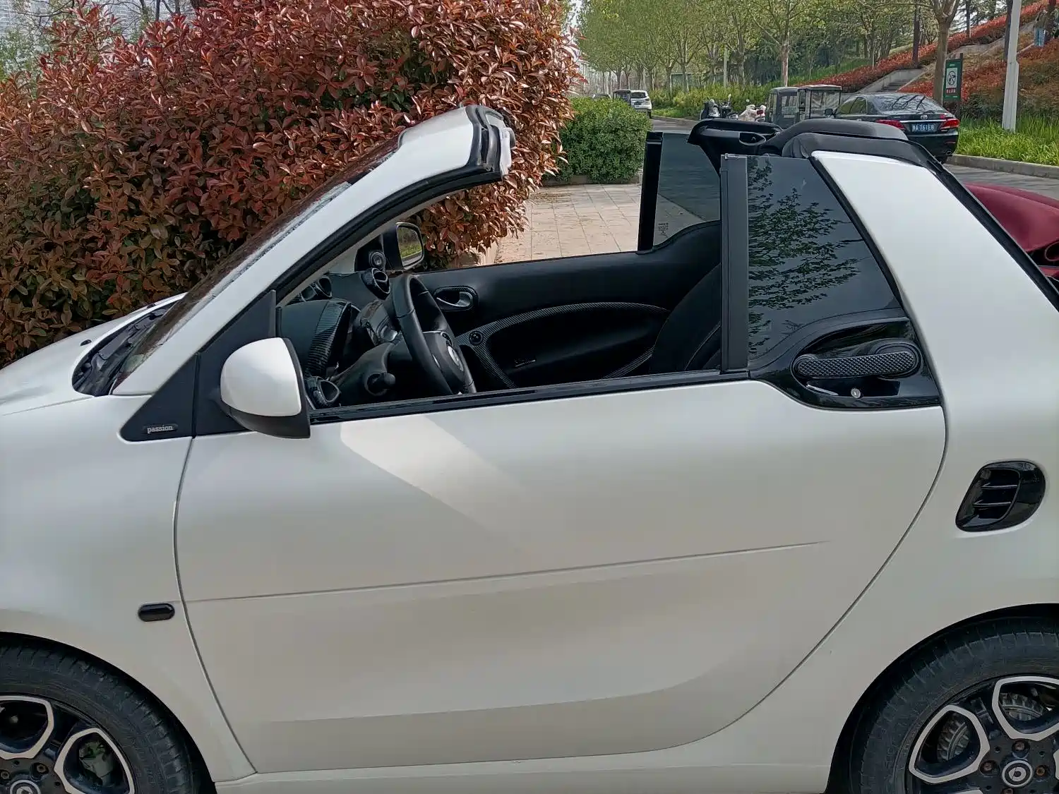 صورة 15 - smart fortwo