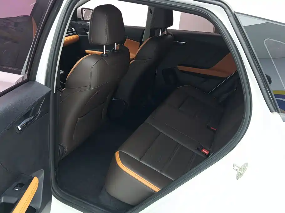 BYD e2 2021 2021 Luxury Edition