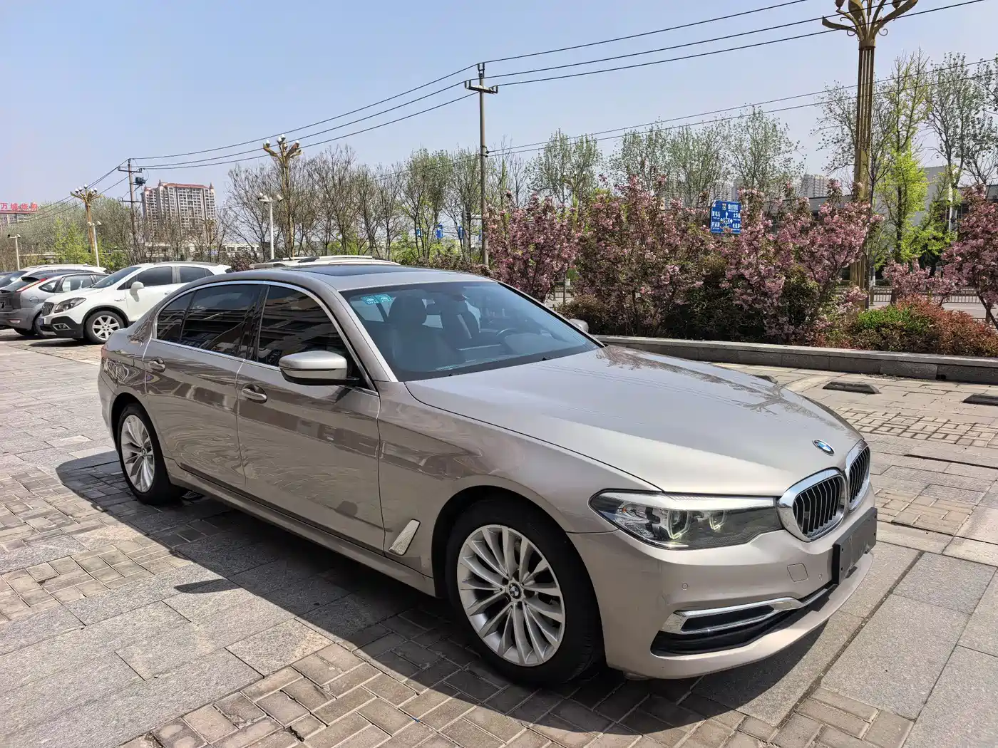 BMW 5 Series 2020 525Li Luxury Package фото 3