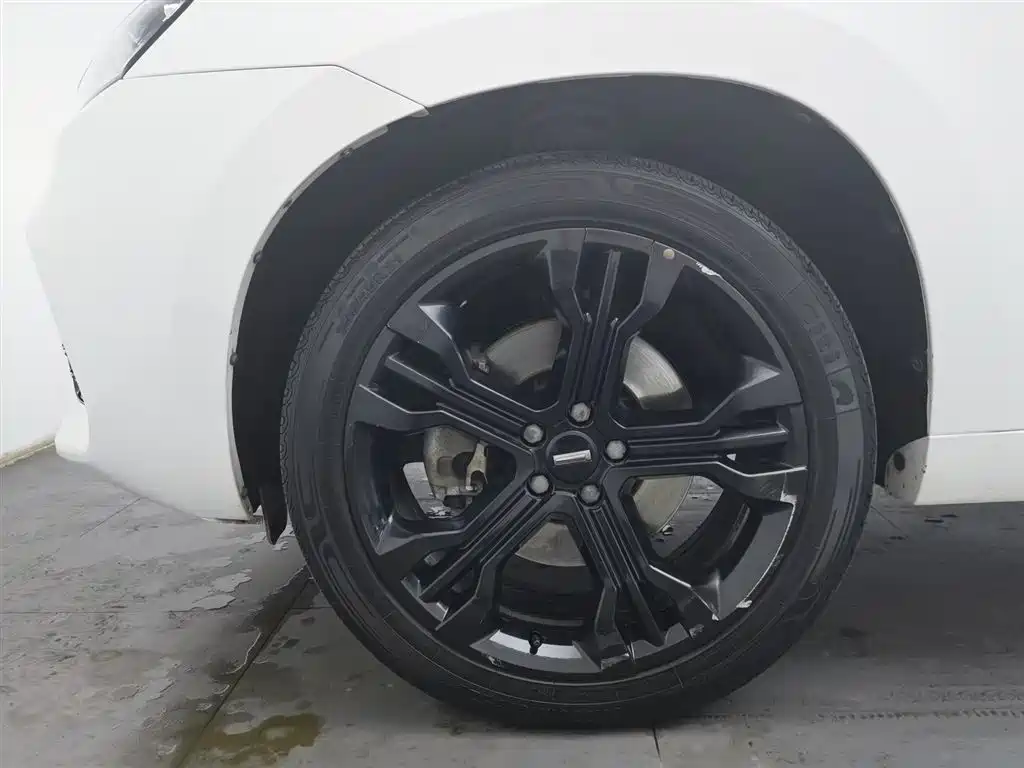 WEI PAI WEI BRAND VV7